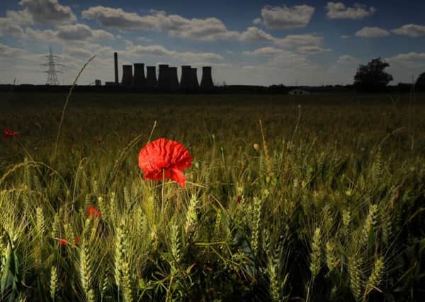 A lone poppy is pictured by Eggborough Power Station. (Simon Hulme).