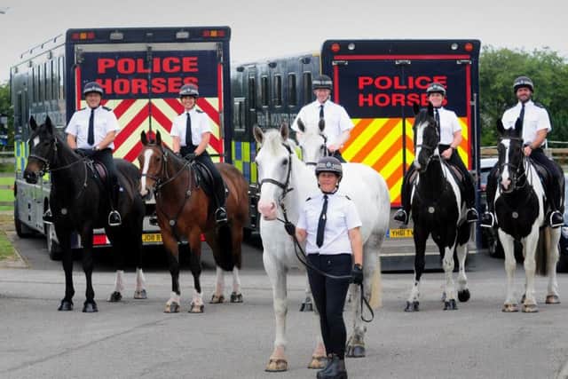 After a three year vacation in West Yorkshire, South Yorkshire Police's horses have returned to Ring Farm in Cudworth, Barnsley, where they will now be permanently homed.