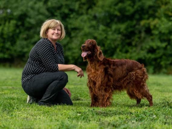 Tania Gardner, of Tollerton, York, is horse secretary for Ryedale Show, and also breeds Irish Setters. Picture by James Hardisty.