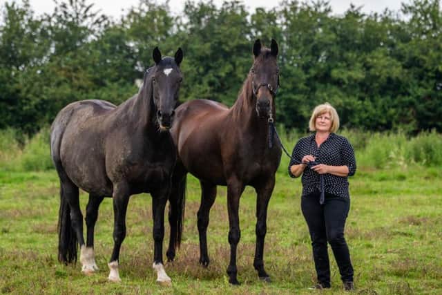 Tania Gardner, horse secretary for Ryedale Show. Picture by James Hardisty.