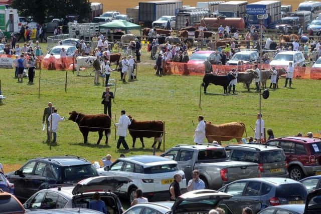 Cattle being judged at last year's Ryedale Show. Picture by Tony Johnson.