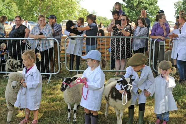 Young sheep handlers taking to the ring at last year's Ryedale Show. Picture by Tony Johnson.