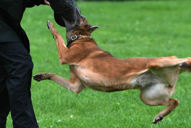 Police dog Resi was repeatedly punched and hurtled through the air before being thrown into the River Aire in Leeds.