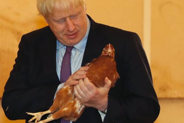 Farming regions have much to lose if Mr Johnson gets Brexit wrong. Photo: Adrian Dennis/PA Wire