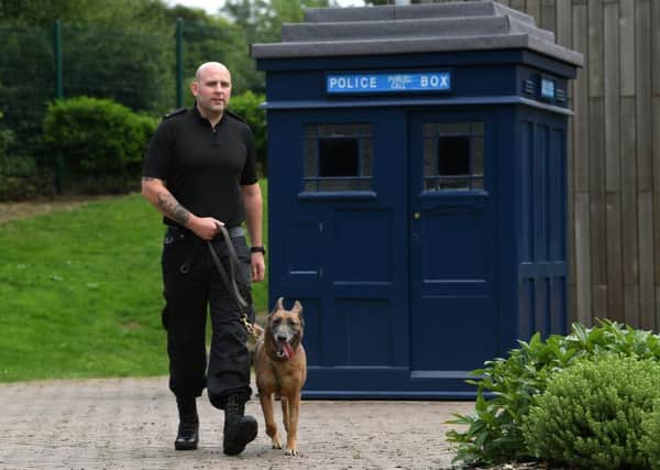 Police dogs deserve to be afforded protections in law. Picture Jonathan Gawthorpe