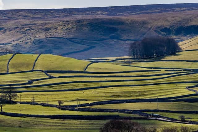 How should Yorkshire present itself?