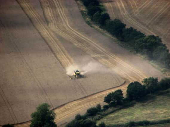 Farmers are concerned about the way Common Agricultural Policy payments will be replaced. Picture: PA