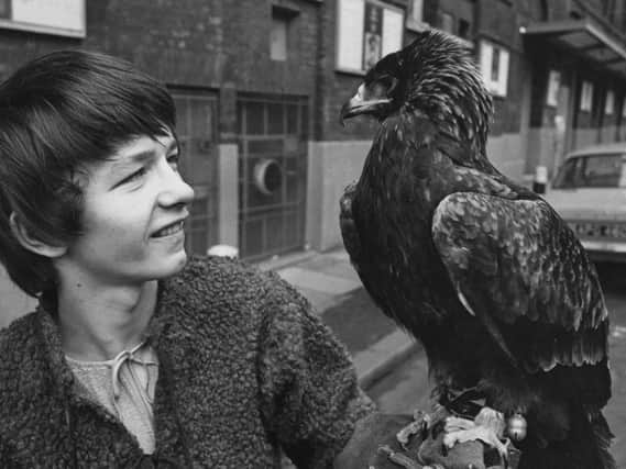English actor Dai Bradley, born David Bradley, star of the film 'Kes', with Cindy, a Lanner falcon, outside the Old Vic in London, circa 1970. (Photo by Frank Barrett/Keystone/Hulton Archive/Getty Images)