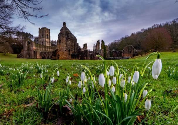 Date:6th February 2019.
Picture James Hardisty.
Possible Picture Post/Country Week.
A blanket of Snowdrops covering parts of the grounds, and riverbanks around Fountains Abbey, near Ripon, North Yorkshire.
Camera Details: 
Nikon D5
Lens, Nikon 12-24mm
Shutter Speed, 1/100sec
Aperture, f/14
ISO, 1000
