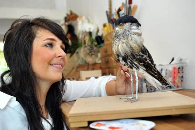NLYW Taxidermist .      Taxidermist  Emeilie Woodford from York  painting the legs of a Ruff a wading bird.