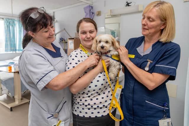 Betty gets lots of attention from the nurses. Pic: James Hardisty