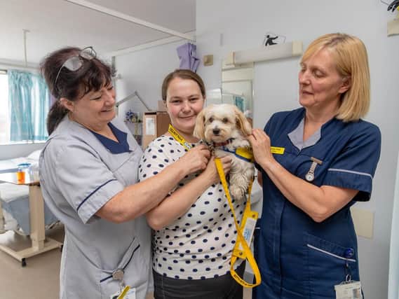 Betty gets lots of attention from the nurses. Pic: James Hardisty