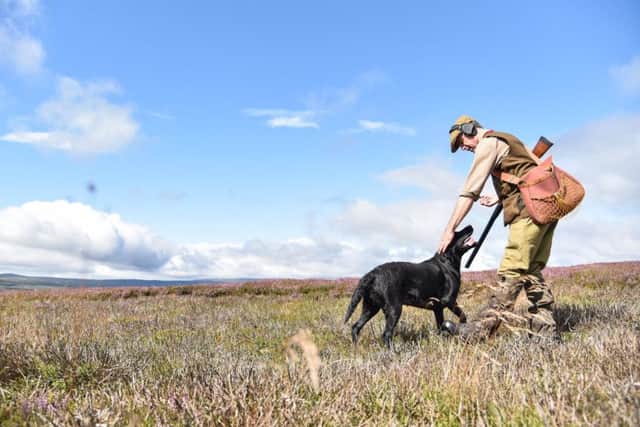 The grouse shooting season is, once again, shrouded in controversy.
