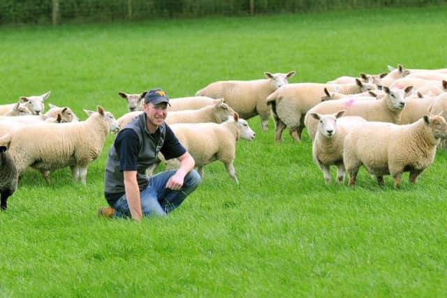 Mark Stephenson amongst his Blue Texel sheep at Nuburnholme Wold farm, at Nurnburnholme .