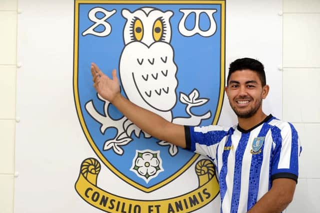 Welcome to the Owls: Sheffield Wednesday new signing Massimo Luongo. Picture: Steve Ellis