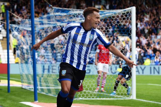 Debut delight: Jacob Murphy celebrates his early strike on his first Owls appearance. Pictures: Steve Ellis