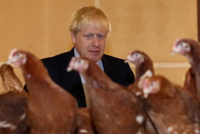 Prime Minister Boris Johnson inspects the poultry during his visit to rally support for his farming plans post-Brexit.