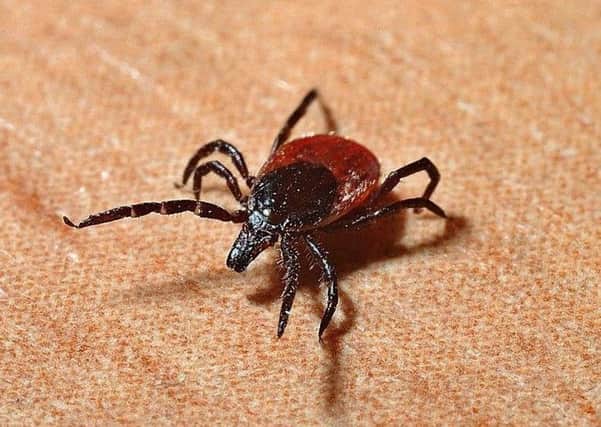 Lyme disease is spread through ticks.