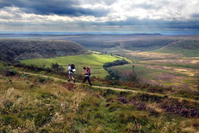 Walkers in beauty spots, like the Hole of Horcum, need to take precautions against Lyme disease.