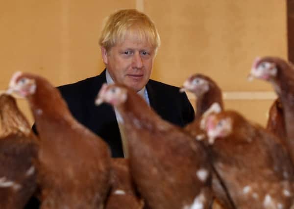 Boris Johnson inspects poultry during a farm visit that was undertaken during his first week as Prime Minister.
