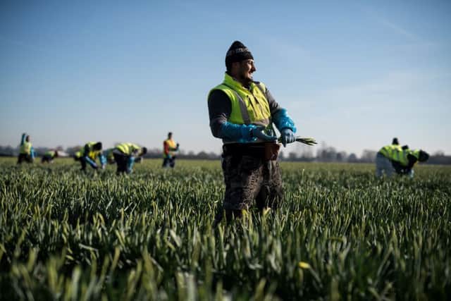 Access to EU migrant workers is a key Brexit demand of farmers.