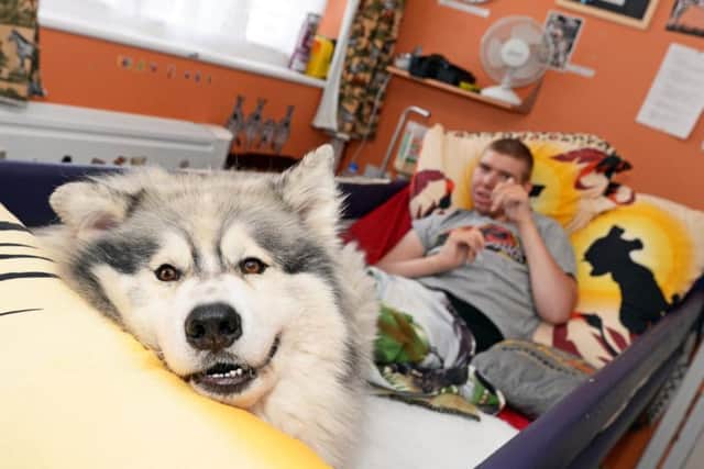 Thunder the Husky is helping Ben's physical and mental wellbeing.