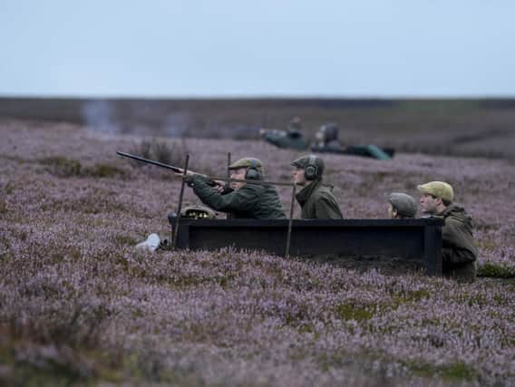 The grouse shooting season started yesterday, on what is known as The Glorious Twelfth. Picture by Dan Rowlands/SWNS.com.