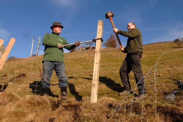 Ranger Ian Broadwith and a volunteer repair a fence in Gunnerside