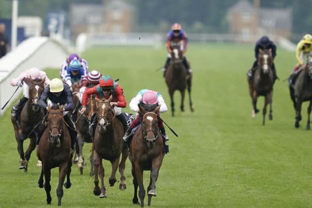 Crystal Ocean (left) was narrowly denied by Enable (right) in last month's King George at Ascot.