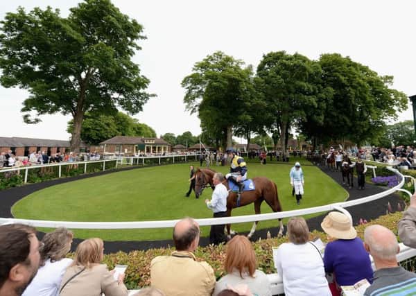 Ripon hosts its feature race of the year today.