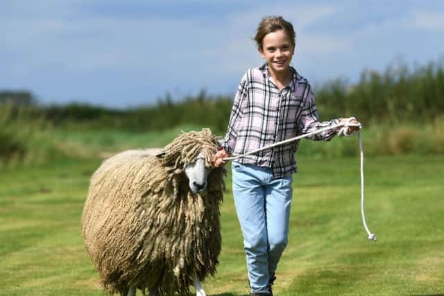 Louise Shipley with one of the family's Leicester Longwool sheep. Picture by Jonathan Gawthorpe.