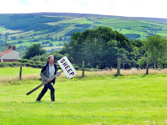 Committee members John Helm getting the Egton Show signs out of the store ready for next week's Egton show with a backdrop of the North York Moors. Picture by Gary Longbottom.