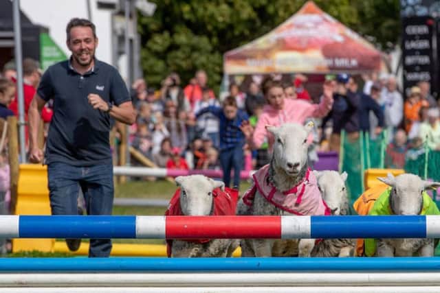The Lamb National featured at Castle Howard as part of this summer's Countryfile Live. Picture by Charlotte Graham.