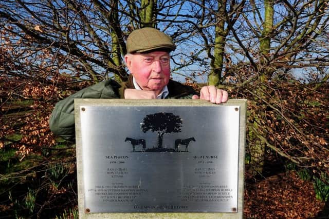 Peter Easterby at the graves of the Champion Hurdle-winning stablemates Sea Pigeon and Night Nurse.