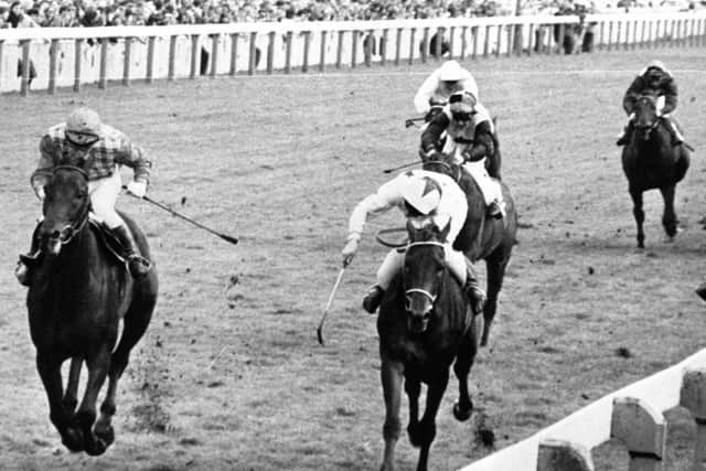 Jonjo O'Neill and Sea Pigeon (left) just hold on from the rallying Donegal Price (right) in the 1979 Ebor.