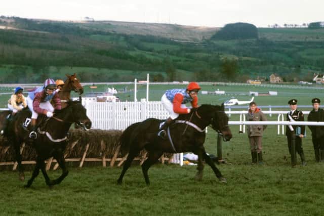 This is Sea Pigeon winning the 1981 Champion Hurdle at Cheltenham when John Francome replaced the injured Jonjo O'Neill in the saddle.