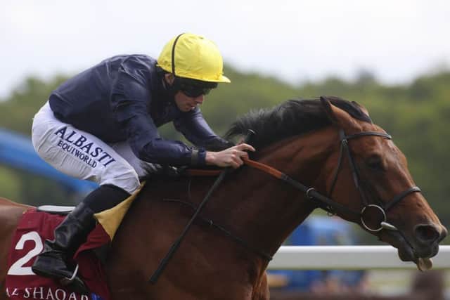 Crystal Ocean - the world's best colt - lines up in today's £1m Juddmonte International on day one of the Ebor festival.