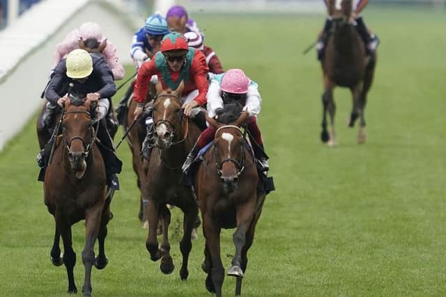 James Doyle and Crystal Ocean (yellow cap) were narrowly denied by Frankie Dettori's Enable (pink cap) in the King George at Ascot.