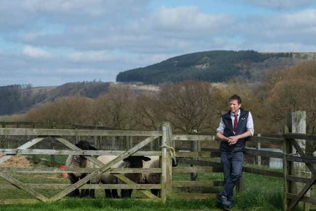 Yorkshire vet Julian Norton writes for The Yorkshire Post every weekend. Picture by James Hardisty.