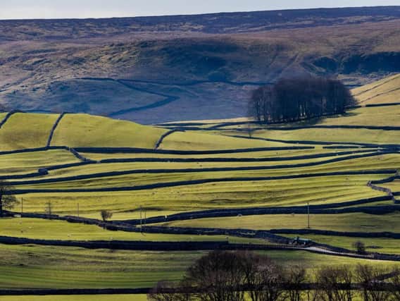 More than 30 per cent less land in the Yorkshire Dales National Park is in an agri-environment agreement now than it was four years ago. Picture by James Hardisty.