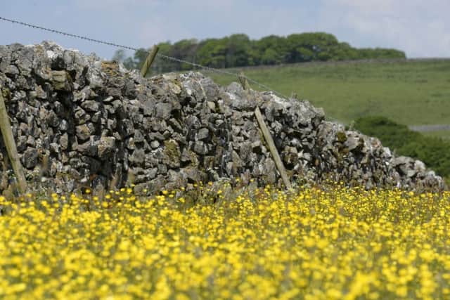 There has been almost a 20 per cent fall in the amount of land across all of Englands National Parks under agri-environment agreements since 2015, figures from Natural England show. Picture by Bruce Rollinson.