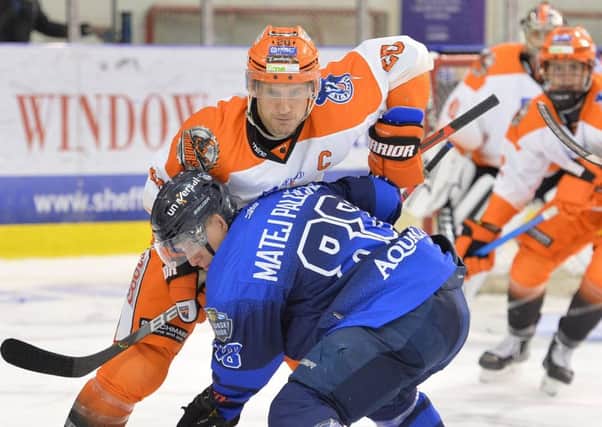 FOLLOW ME LEADER: Jonathan Phillips will lead Sheffield Steelers' as captain for a 12th season. Picture; Dean Woolley.