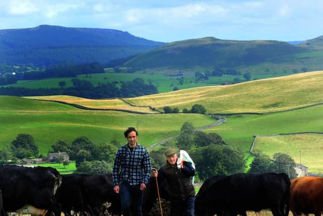 Jorge Thomas, managing director of Swaledale Foods at Skipton (left), with farmer Amos Dewhurst and some of his Dexter herd on the moors near Winterburn. Picture by Gary Longbottom.