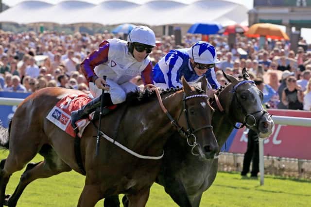 Laurens and PJ McDonald (near side) were narrowly denied by the James Doyle-ridden Shine So Bright at York on Ebor day.
