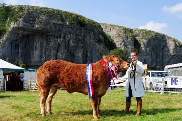 Hannah Brown with the show's supreme beef champion. Picture by Simon Hulme.