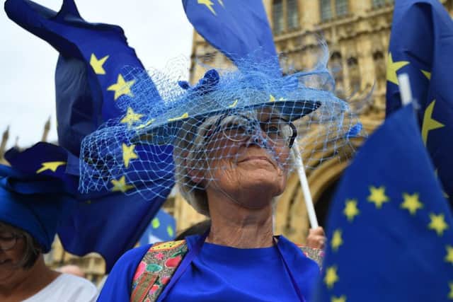 Pro-EU supporters have been gathering outside Parliament this week.