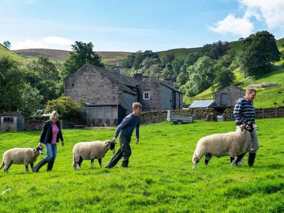 Steven, Carol and Will Porter with Swaledales at Summer Lodge Farm, Low Row, Swaledale, preparing for the Muker Show which will be held on Wednesday 4th September. Picture by Bruce Rollinson.