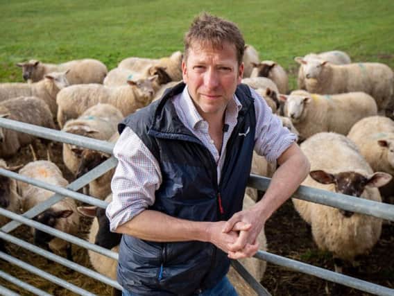 North Yorkshire vet Julian Norton writes for The Yorkshire Post every weekend. Picture courtesy of Daisybeck Studios.