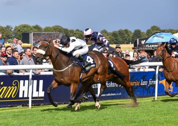 Judicial and Joe Fanning (white and black spots) win the William Hill Beverley Bullet Sprint. Photo: Hannah Ali.