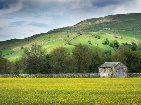 The deadline for entries for The Yorkshire Post's 2019 Rural Awards is midnight on Wednesday, September 4. Picture by Bruce Rollinson.